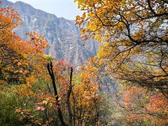 -秦岭终南山世界地质公园翠华山景区