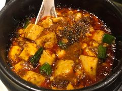 -陈麻婆豆腐总店