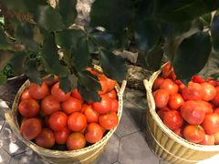 -蕃茄述·好汤自然来(江汉路店)