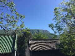 少林寺-少林寺景区