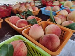 -玫瑰庄园·自助烧烤·烤全羊·团建拓展(龙泉山店)