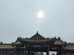 -莲花池公园