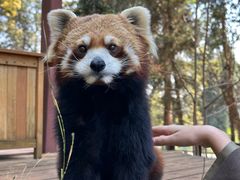 -云南野生动物园
