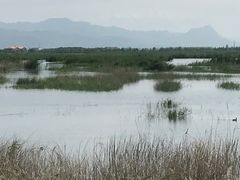 -包头南海湿地景区