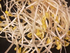 -渝涯重庆豆花老火锅(中赢国际店)