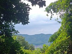 -火炉山森林公园