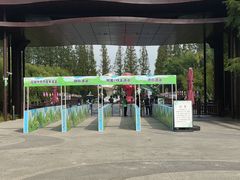 -黄海国家森林公园