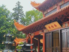 -深圳仙湖植物园