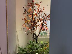 -弘馆·镜湖印象