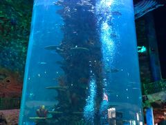 -青岛嘉年华主题乐园