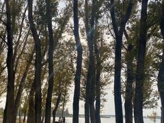 -野鸭湖国家湿地公园