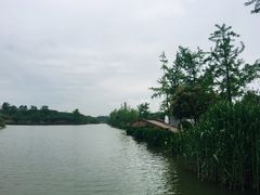 -白鹭湾湿地公园