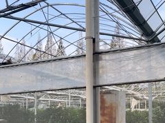 -前小桔亲子创意农场·草莓采摘·露营烧烤