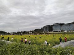-长洲岛