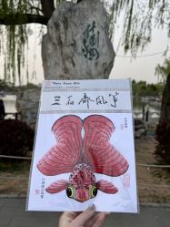 -三石斋风筝
