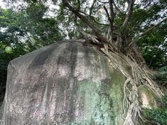 -草庵摩尼教遗址公园