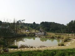 -铁山坪森林公园