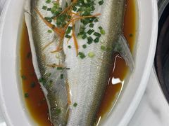 清蒸大白鱼-丹水桥地锅鱼·翘嘴鲌·地方特色全鱼宴(丹江口大坝店)