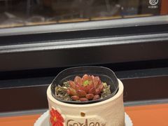 -必胜客(上海华谊新所店)