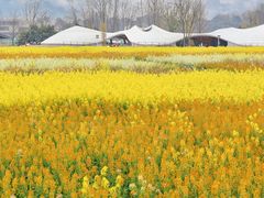 -中国天府农业博览园