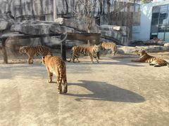 -南京金牛湖风景区