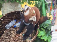 -杭州野生动物世界