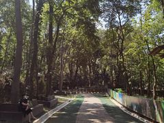 -WeLope紫金山探险公园