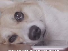 -永旺梦乐城国际商城(北清路店)