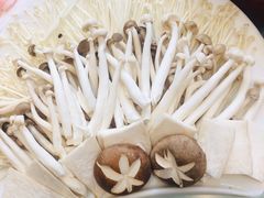 -陈氏火锅(新街坊店)