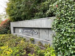 -上海崇明金茂凯悦酒店