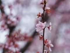 -江南大学(蠡湖校区)