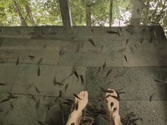 -天目湖御水温泉·度假酒店