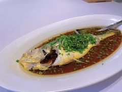 东海黄鱼-逸道(益丰·外滩源店)