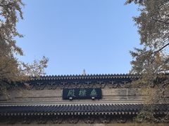 -灵谷景区