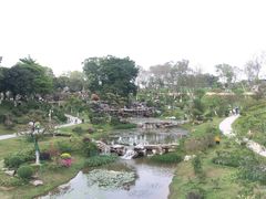 -东莞植物园