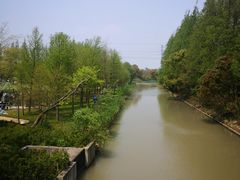 -上海长兴岛郊野公园