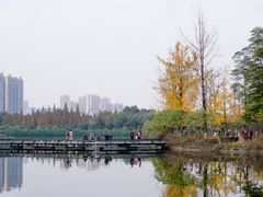-成都南湖公园