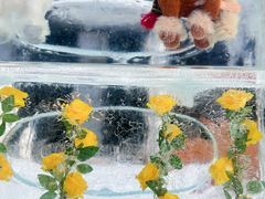 -沈阳奥体冰雪嘉年华
