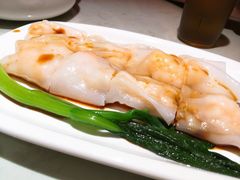 -南枝记