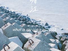 -上海滨江森林公园