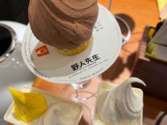 -野人先生Gelato(上海长宁龙之梦店)