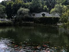 -国恩寺