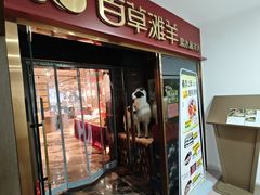 -百草滩羊清水涮羊肉·清真·宁夏盐池滩羊(莲花桥店)