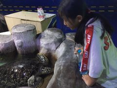 -重庆欢乐海底世界
