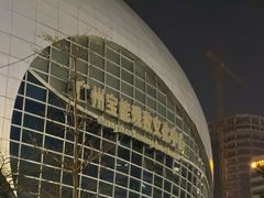 -宝能国际体育演艺中心