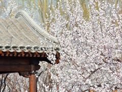 -三里河公园