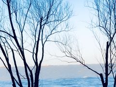 -上海吴淞炮台湾国家湿地公园