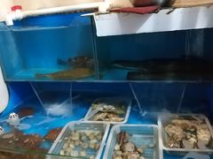 水产区-福匠日本料理(人民路店)