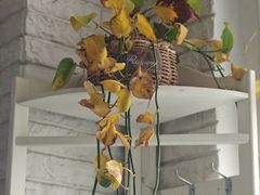 -My Way Town买味堂·东南亚餐厅(亦庄店)