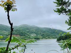 -东海大峡谷